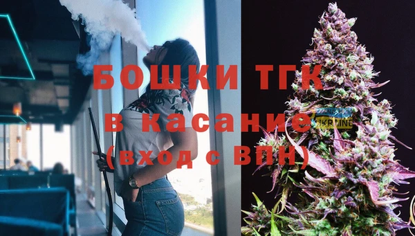 дживик Белокуриха
