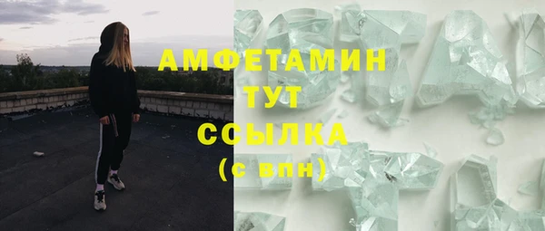 дживик Белокуриха