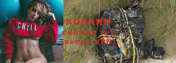 индика Белоозёрский