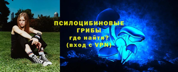 дживик Белокуриха